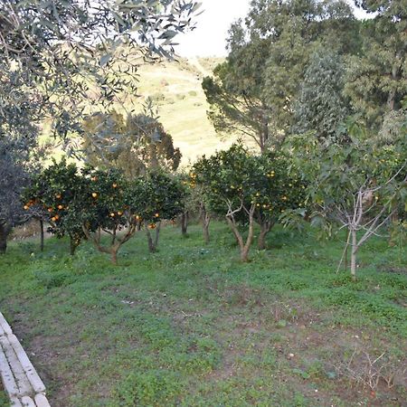 דירות קלטפימי La Casetta Nel Bosco מראה חיצוני תמונה