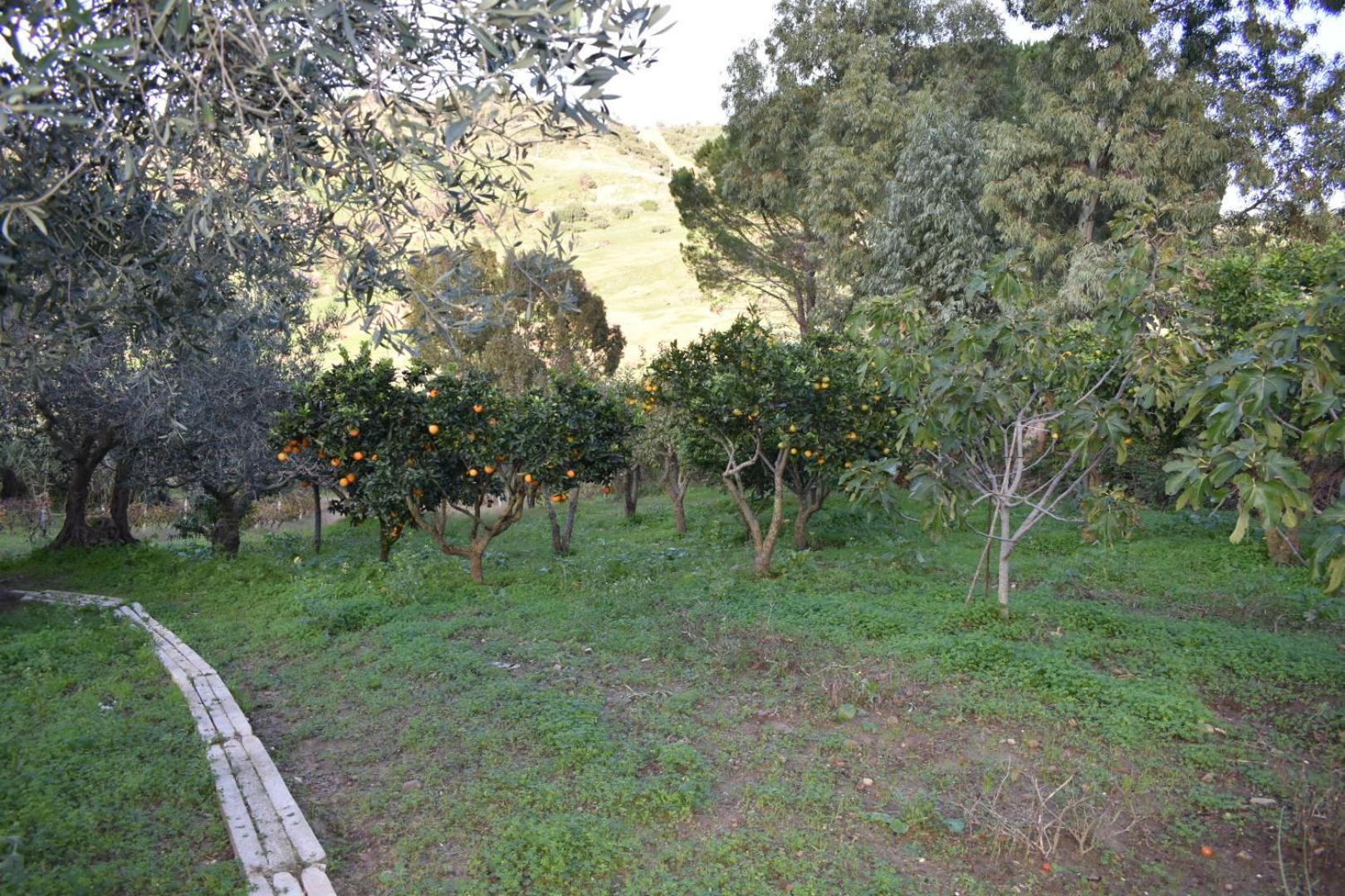 דירות קלטפימי La Casetta Nel Bosco מראה חיצוני תמונה