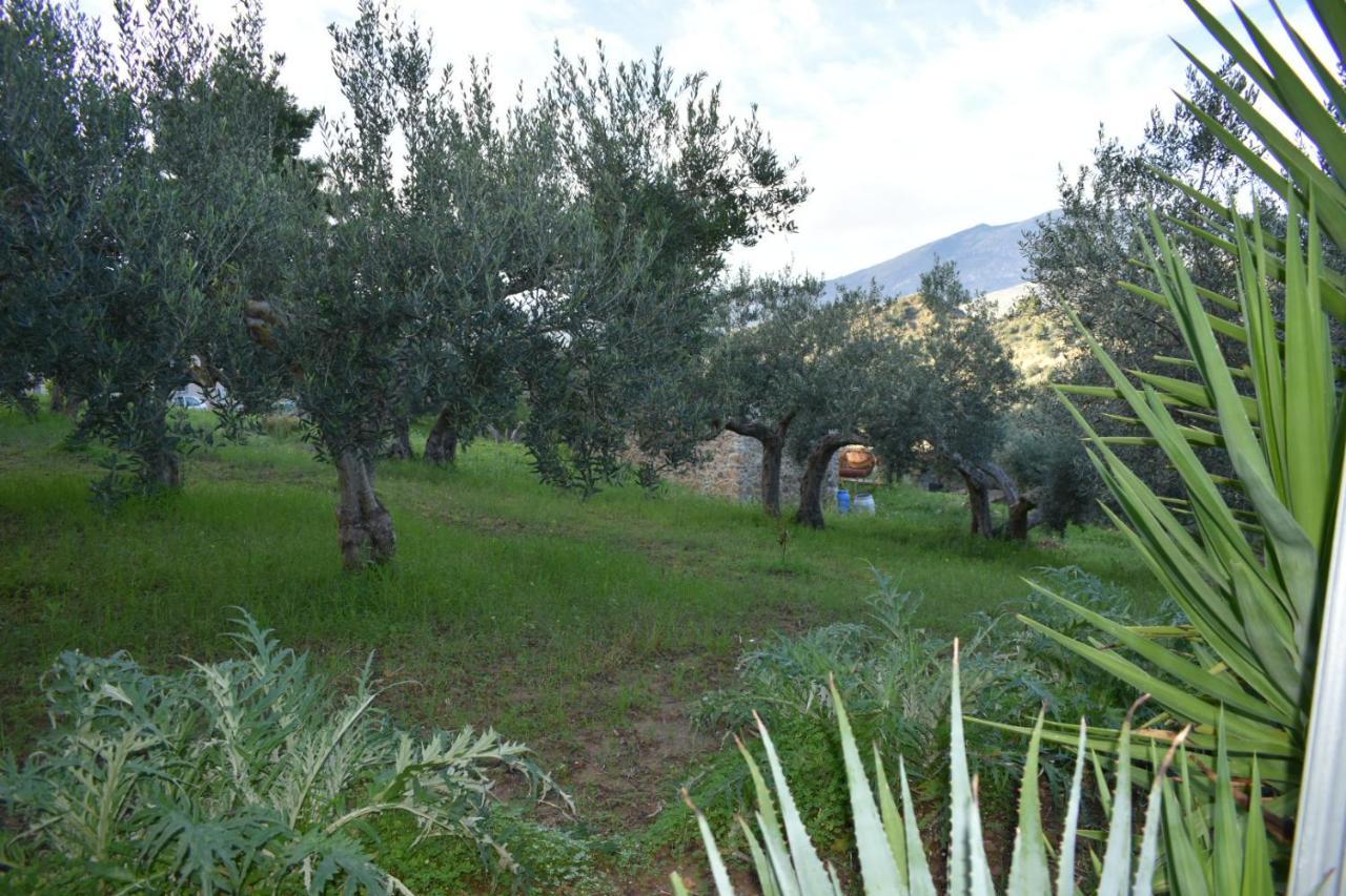 דירות קלטפימי La Casetta Nel Bosco מראה חיצוני תמונה